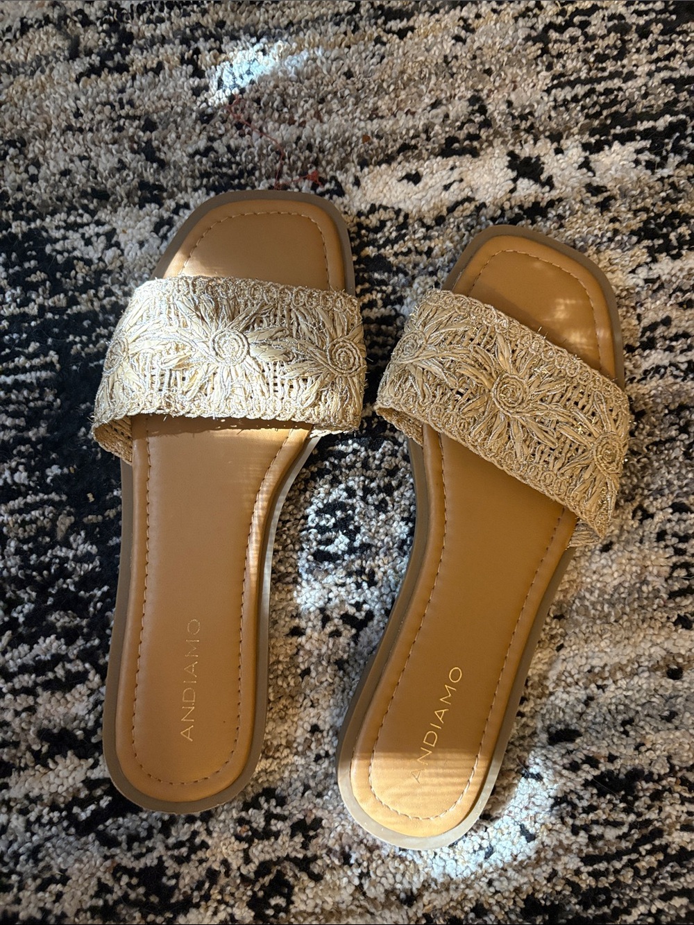 Andiamo Women's Embroidered Gold Slide Sandals